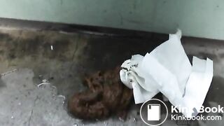 Japanese Emergency Piss and Shit