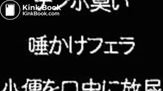 Japanese Transsexual Femdom Scat - video 2