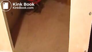 Toilet slave preview