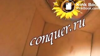 Toilet slave preview