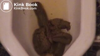 Japanese Femdom Scat - video 2