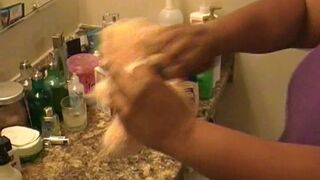 Teddybear inside toilet