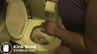 Teddybear inside toilet