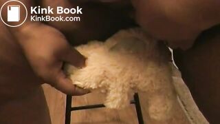 Teddybear inside toilet