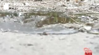 japanese girls peeing and pooping