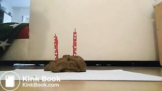 A cake made of poop
