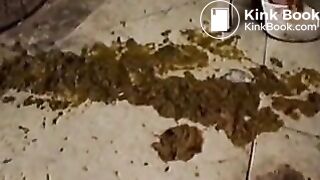 Panty Pooping - video 17