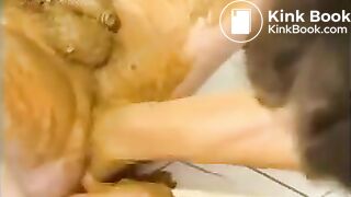 Mature souple love scat