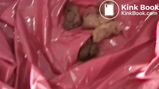 British BBW backwards shit