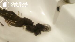 shit in the sink