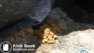 japanese girls shitting 3