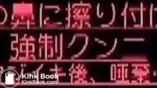 Japanese Femdom Scat - video 11