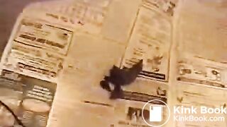 Mature poop - video 5