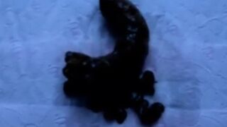 Girl gently shitting on TP (original content)