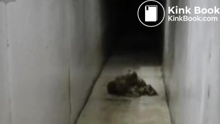 chinese girls pooping and pissing