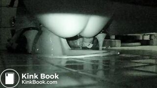 korean hidden toilet