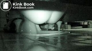 korean hidden toilet