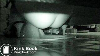 korean hidden toilet