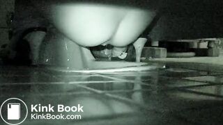 korean hidden toilet