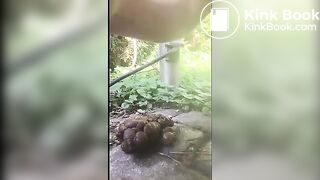 hard log, tender asshole