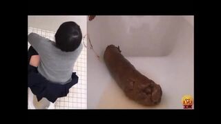 Japanese poop toilet 2