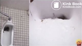 Japanese poop toilet 2