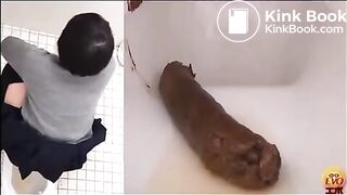 Japanese poop toilet 2