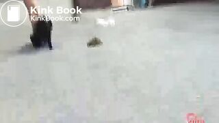 jap office lady poop in stairway