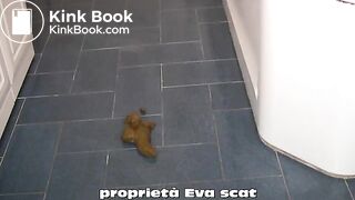 My favorite combo: scat and hairy pussy 2