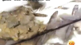 Girls locked toilet public poop accident