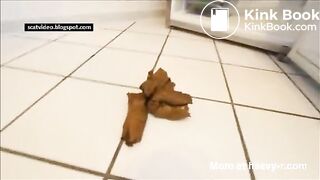 Kitchen poop - video 2