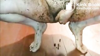 scat covered in n out