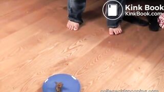 College Slut shitting for book money