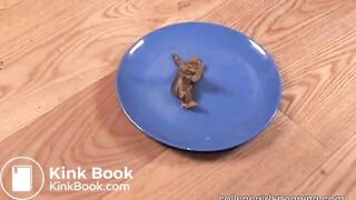 college girl - video 2