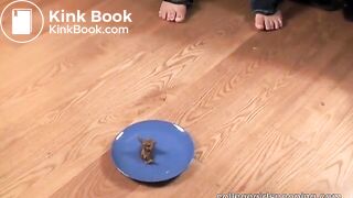 college girl - video 2