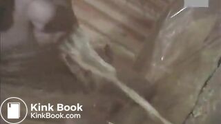 Extreme Asian Puke Fetish