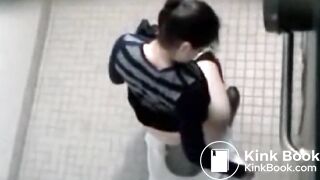 Public Toilet Poop - video 2