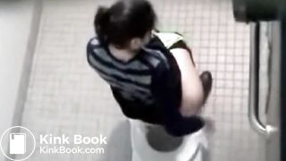 Public Toilet Poop - video 2