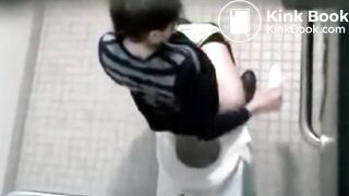 Public Toilet Poop - video 2