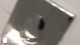 Public Toilet Scat Play