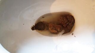 Closeup Ebony BBW Scat