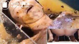 Japanese girls shit on a girl