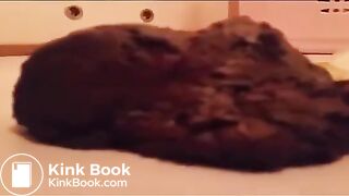 Shitting in White Shorts