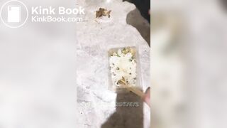 She force slave to eat her shit