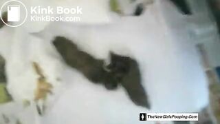 Nice shitting - video 2