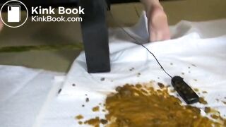 Japanese Femail Great Poo - video 2