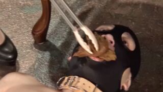 Full Toilet - Girl feeds her slave