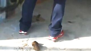 Scat Girls - video 38