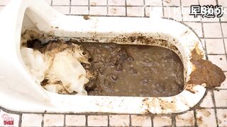 Japanese toilet scat - video 6