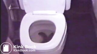 Thick Toilet Poo